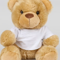  Bruin